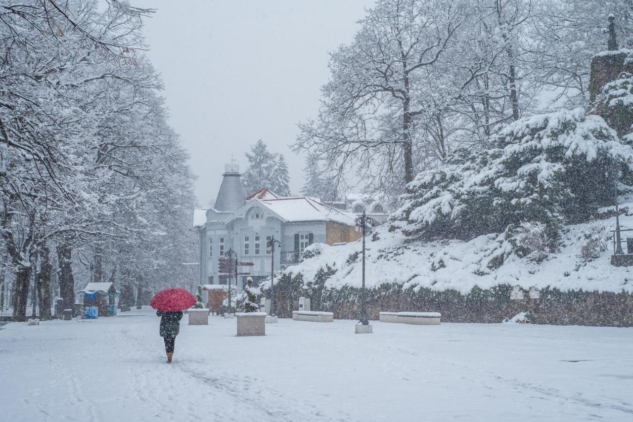 Vila Emilia Vrnjačka Banja Buitenkant foto