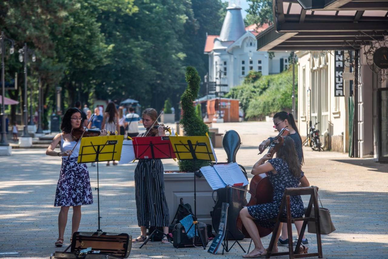 Vila Emilia Vrnjačka Banja Buitenkant foto