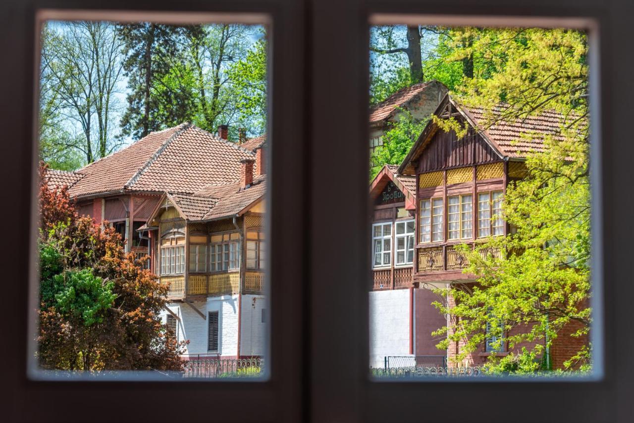 Vila Emilia Vrnjačka Banja Buitenkant foto
